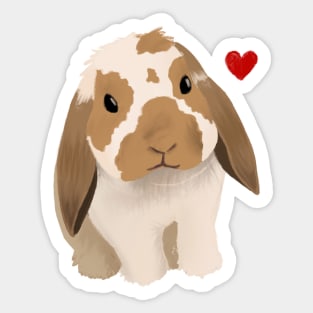 Holland Lop Barry Sticker